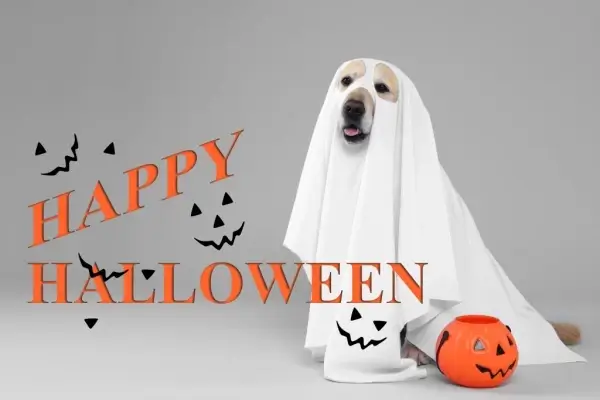 Happy Halloween from Athena Mortgage